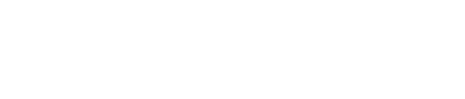 Lane 201